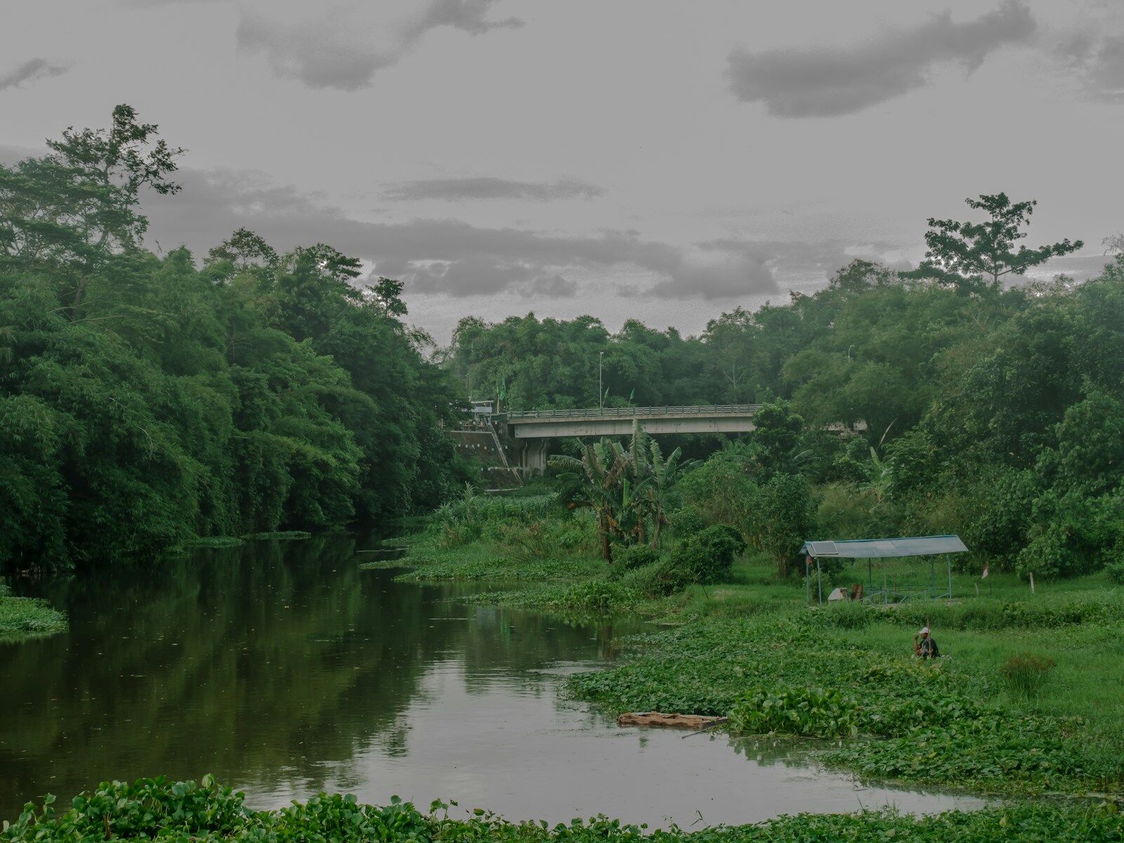 a river running through a lush green forest. Photo by Yosafat Herdian, Unsplash.