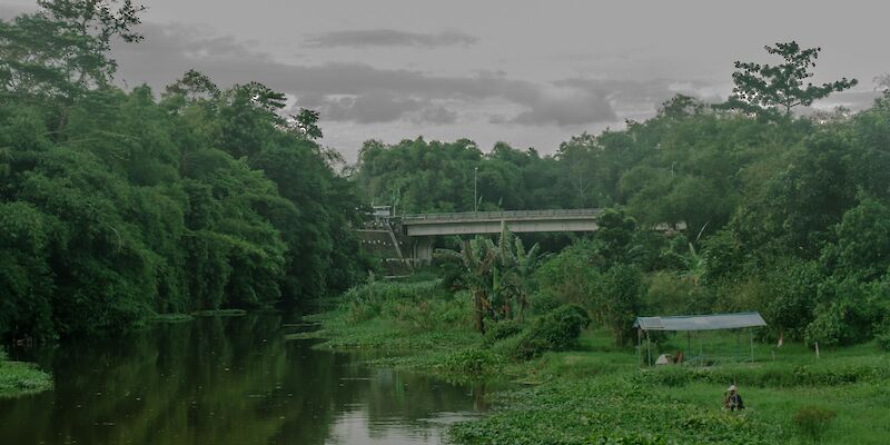 a river running through a lush green forest. Photo by Yosafat Herdian, Unsplash.
